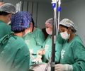 Central de Transplantes de Alagoas mobiliza equipes em três hospitais para salvar 11 vidas