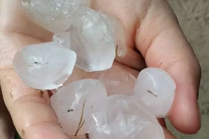 Municípios do interior de Alagoas registram chuva de granizo; veja vídeos