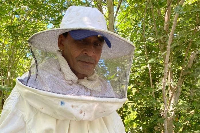 Apicultores alagoanos aumentam produtividade com ações do AgroNordeste