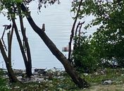 Corpo de homem é encontrado boiando com os pés amarrados, na Lagoa Mundaú, em Maceió