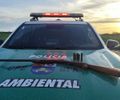 PM-AL apreende armas de fogo, aves silvestres e redes de pesca predatória no interior