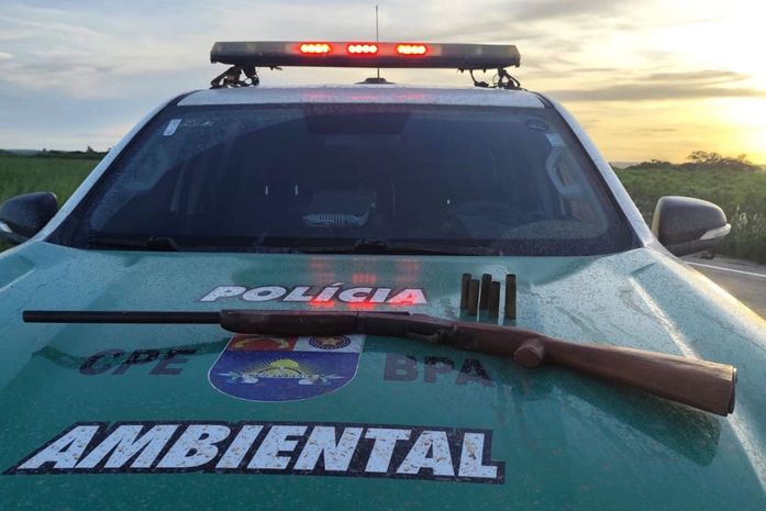 PM-AL apreende armas de fogo, aves silvestres e redes de pesca predatória no interior
