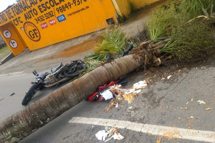 Entregador de comida morre após árvore cair e atingir sua cabeça enquanto passava em via