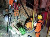 Bombeiros resgatam jumento que havia caído em fossa de 4 metros