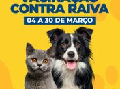 Campanha de Vacinação Antirrábica inicia neste sábado (4) em Palmeira