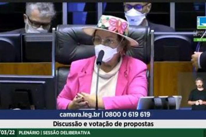 Tereza Nelma, presidindo sessão da Câmara dos Deputados, aprova várias medidas em defesa da Mulher
