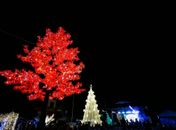 Abertura do Natal de Luzes de Palmeira dos Índios emociona adultos e crianças