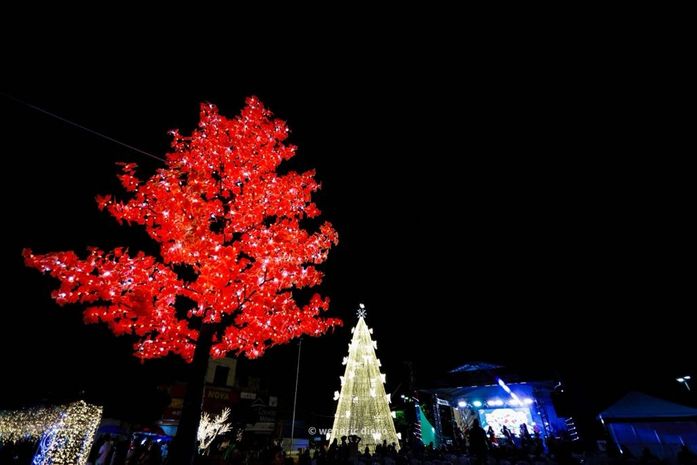 Abertura do Natal de Luzes de Palmeira dos Índios emociona adultos e crianças