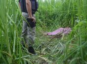 Mulher foi morta com requintes de crueldade