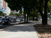 Obras da ciclovia da Fernandes Lima avançam e vão beneficiar 200 mil ciclistas