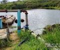 Furto de 300 metros de cabos pode afetar abastecimento de água no Agreste de AL