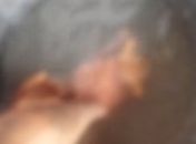 Homem é procurado por afogar filhote de gato em ato de ameaça em Junqueiro