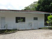 Da colmeia para a prateleira: empresa aposta em produção de própolis em pó e mira mercado internacional
