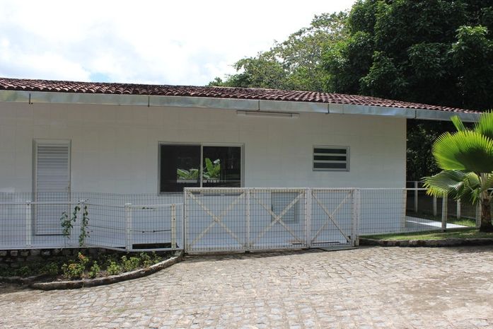 Da colmeia para a prateleira: empresa aposta em produção de própolis em pó e mira mercado internacional