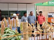 Produtores de Alagoas aproveitam oportunidades na Sealba Show 2025