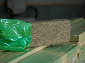 Tablete de maconha