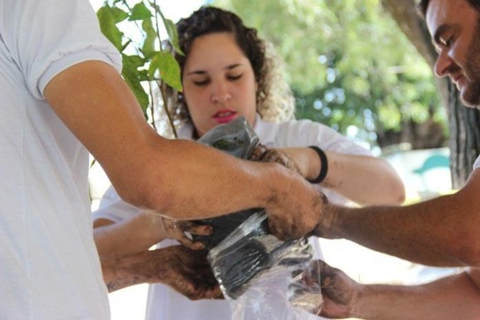 Dentre as espécies distribuídas, estão o Ipê Rosa, o Ipê Roxo, Araçá, Sabonete e Ingá