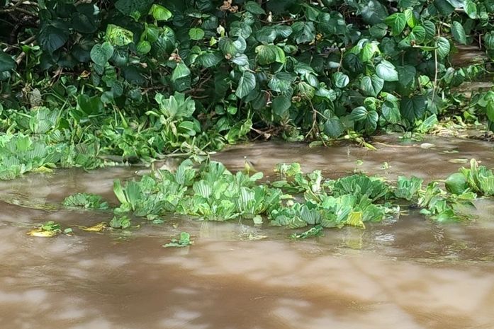Corpo de pescador desaparecido é encontrado na Lagoa Mundaú, em Santa Luzia do Norte