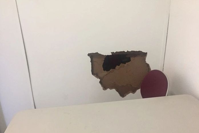 cupins avançam e destorem paredes da Câmara