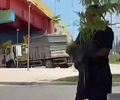 Mulher nega furto de planta após vídeo viral e relata ameaças em Maceió