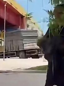 Mulher nega furto de planta após vídeo viral e relata ameaças em Maceió