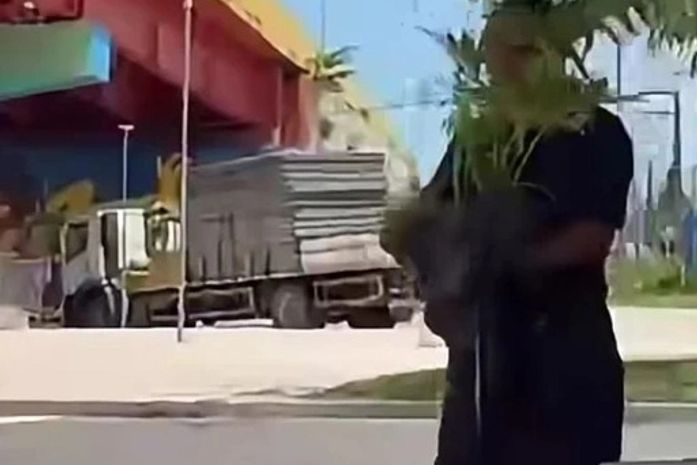Mulher nega furto de planta após vídeo viral e relata ameaças em Maceió