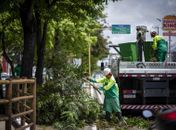 Prefeitura de Maceió intensifica poda de árvores em avenidas da capital
