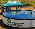 Pindorama e parceiros apresentam bioinsumo inovador para agricultura em AL