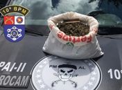 Maconha apreendida