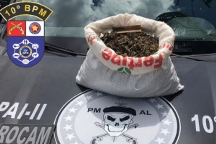 Maconha apreendida