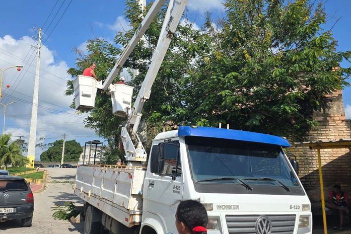 Prefeitura de Matriz de Camaragibe inicia ação de poda e manutenção de árvores
