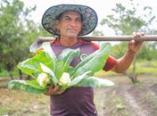Prefeitura de Arapiraca vai investir R$ 2,9 milhões e ampliar em 150% a compra de produtor agrícolas
