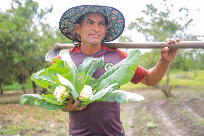 Prefeitura de Arapiraca vai investir R$ 2,9 milhões e ampliar em 150% a compra de produtor agrícolas