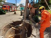 Bombeiros resgatam égua que caiu dentro de cisterna