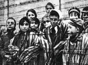 O debate sobre o nefasto nazismo e as obras que podem ser destacadas...