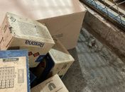Foram identificados 600 kg de produtos perecíveis e não perecíveis vencidos, além da presença de ratos, baratas, aranhas e escorpiões.