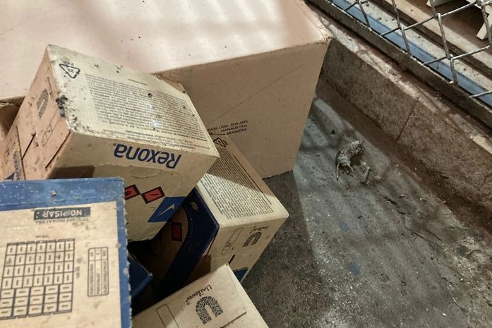 Foram identificados 600 kg de produtos perecíveis e não perecíveis vencidos, além da presença de ratos, baratas, aranhas e escorpiões.