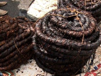 Rs=w:350,h:263,i:true,cg:true,ft:cover?cache=true