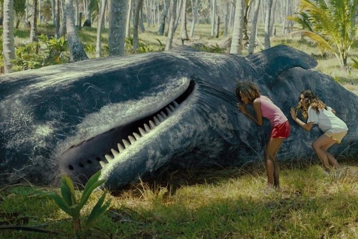 Cineclube Zaréu lança Janela de Exibições no Alto Sertão Alagoano