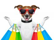 Bazar Pet acontece em Arapiraca neste final de semana