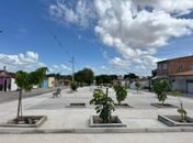 Prefeitura de Delmiro Gouveia já plantou mais de 5 mil mudas e amplia ações de arborização para 2026