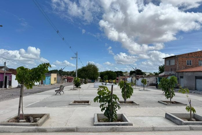 Prefeitura de Delmiro Gouveia já plantou mais de 5 mil mudas e amplia ações de arborização para 2026