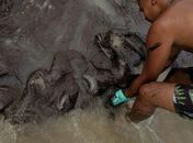 Embarcação suspeita de derramamento passará pelo Brasil em sua viagem até a Venezuela