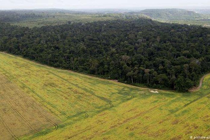 Alemanha vai suspender financiamento a projetos na Amazônia