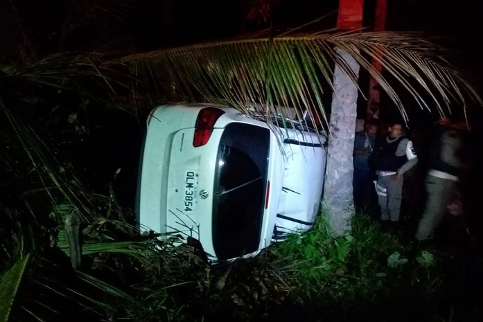 Carro pega fogo após sair da pista e colidir em coqueiros na AL-105