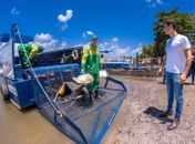 Metodologia inovadora: Prefeito JHC lança ecoboat para atuar na limpeza da lagoa