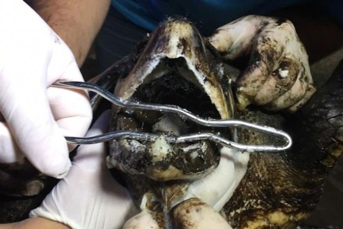 Manchas de óleo nas praias do Nordeste podem ser petróleo da Venezuela