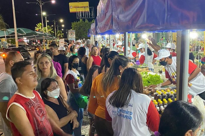 Sucesso: Feira Sustentável da Nossa Terra garante novas oportunidades para os agricultores delmirenses