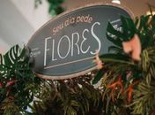 Seu Dia Pede Flores amplia conexões e abre novas possibilidades para o mercado floral alagoano