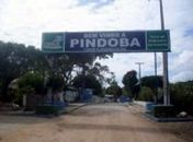 Pindoba